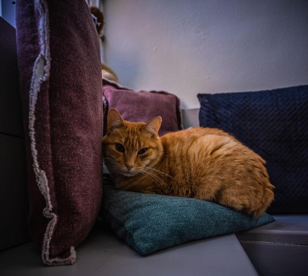 De Kaepstander Bed & Breakfast Middelburg Luaran gambar